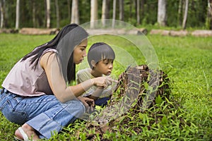 Asian Mom showing to her son something on her phone or to searching and leaning about nature