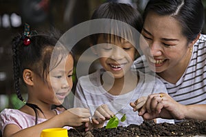 Asian mother and her kids gardening together. Spring and hobbies, family grows flowers together. Hobby home for whole family,