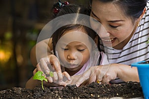 Asian mother and her kids gardening together. Spring and hobbies, family grows flowers together. Hobby home for whole family,