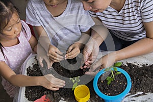 Asian mother and her kids gardening together. Spring and hobbies, family grows flowers together. Hobby home for whole family,