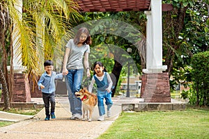 Asian mother and two kids walking together with Shiba inu dog in public park.