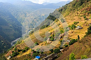 Asian mountain village Ghandruk and terrace fields in autumn Nepal, Himalaya, Annapurna Conservation Area