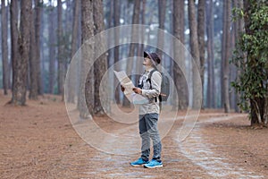 Asian naturalist looking at the map for direction while exploring wildlife in the pine forest for surveying and discovering the