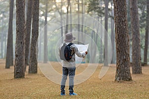 Asian naturalist looking at the map for direction while exploring wildlife in the pine forest for surveying and discovering the