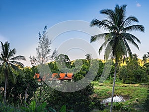 Asian nature landscape and Thai wooden cottage