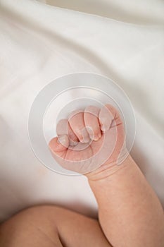 Asian new born baby boy`s hand.