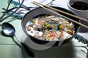 Asian noodle vegetable soup bowl