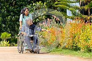 Asian nurse cart of shove senior man sit on wheelchair to walk along the walkway in the garden and they look happiness outdoor to