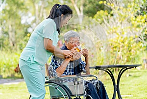 Asian nurse woman help senior man on wheelchair to drink tea in a cup and they stay in the garden with warm light