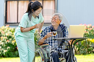 Asian nurse woman stand beside to take care senior man hold a glass of tea and sit on wheelchair also stay to relax in the garden