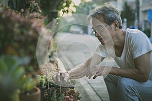 asian old man take care houseplant at home garden