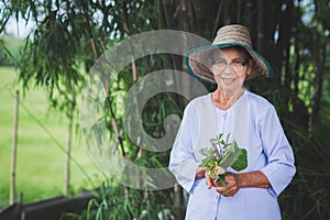 Asian old woman in hat working in the garden with smile and happy