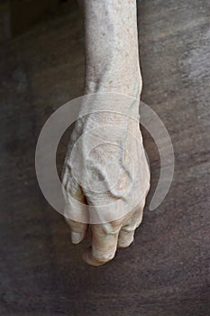 Asian old womanâ€™s hand. Skin creases, loosen skin and veins show aging