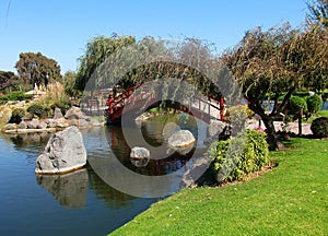 Asian park in la serena Chile lake garden green plants photo