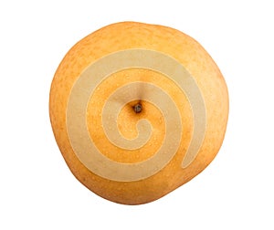 Asian Pear or Nashi Pear Fruit IV