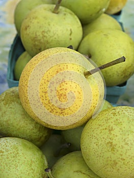 Asian Pears