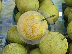 Asian Pears