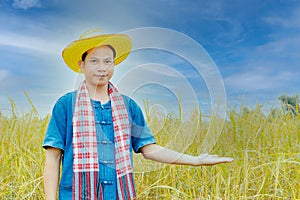 Asian peasants in robes and hats are in a field of golden rice fields