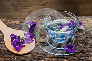 Asian pigeonwings or Butterfly Pea Heabal hot drinking tea refresh Thai herb