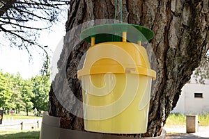 Asian plastic bumblebee trap hung on street tree