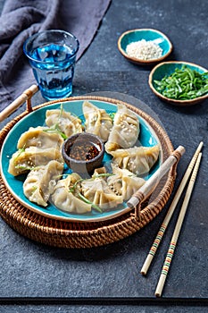 Asian Potstickers dumplings Gyoza with Soy Sauce