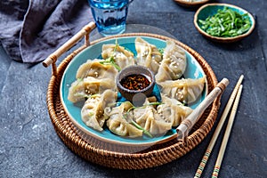 Asian Potstickers dumplings Gyoza with Soy Sauce