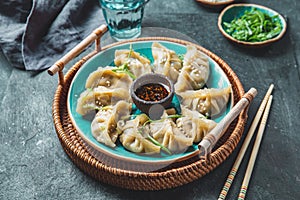 Asian Potstickers dumplings Gyoza with Soy Sauce