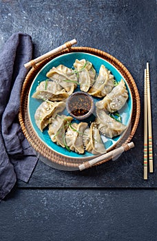 Asian Potstickers dumplings Gyoza with Soy Sauce