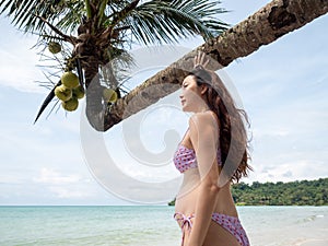 Asian pregnant woman posture on tropical sand beach with palm tree in sunny day in Thailand. Pregnancy relaxation from depression
