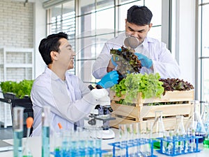 Asian professional cheerful male scientist researcher in white lab coat using microscope looking at vegetable sample on plate