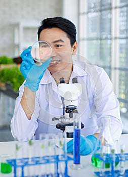 Asian professional male scientist researcher in white lab coat and rubber gloves sitting using microscope inspecting quality of