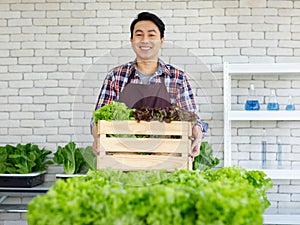 Asian professional successful cheerful male farmer gardener in apron standing smiling harvesting holding fresh raw organic green