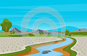 Asian Rice Field Paddy Plantation Agriculture Landscape Illustration