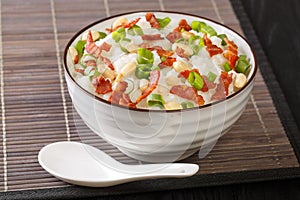 Asian rice porridge with bacon, peanuts and green onions close-up in a bowl. horizontal