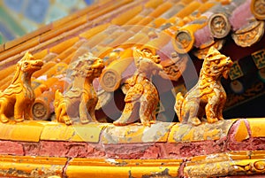 Asian Roof in Forbidden City, Beijing, China