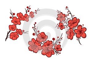 Asian sakura cherry blossom branch set, minimalist simple flat vector illustration isolated on white background. Clip