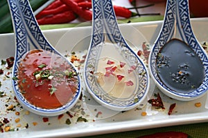 Asian sauces photo