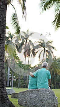 Asian senior couple hugging in the park laughing in sunshine