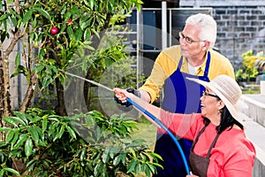 Asian senior couple smiling while watering green cultivated plants