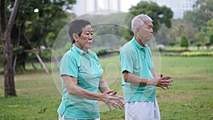 Asian Senior Elderly couple Practice Taichi, Qi Gong exercise outdoor photo