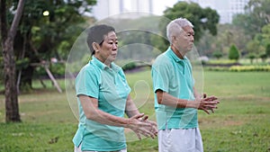 Asian Senior Elderly couple Practice Taichi, Qi Gong exercise outdoor