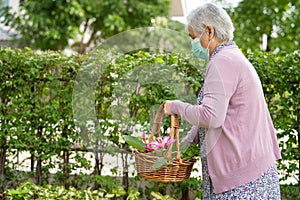 Asian senior or elderly old lady woman taking care of the garden work in home, hobby to relax and exercising with happy