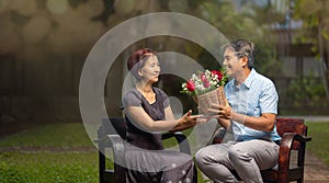 Asian senior man gives a rose to his wife in wedding anniversary day