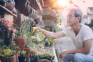 asian senior man spraying water to succulent plant at home garden