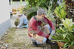 Asian senior man take care of ornamental plants beside the house background blurred grandmother plucking grasses