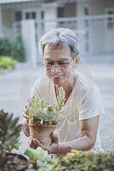 Asian senior man taking care to succulent plant at home garden