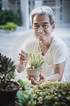 Asian senior man toothy smile with happiness face at home garden