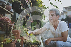 asian senior man watering houseplant at home garden