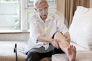 Asian senior woman hold her leg suffering from pain in legs,elderly patient have cramps in her calves,massage the calf by hands or