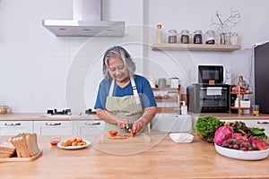 Asian senior woman preparing meal in her modern kitchen